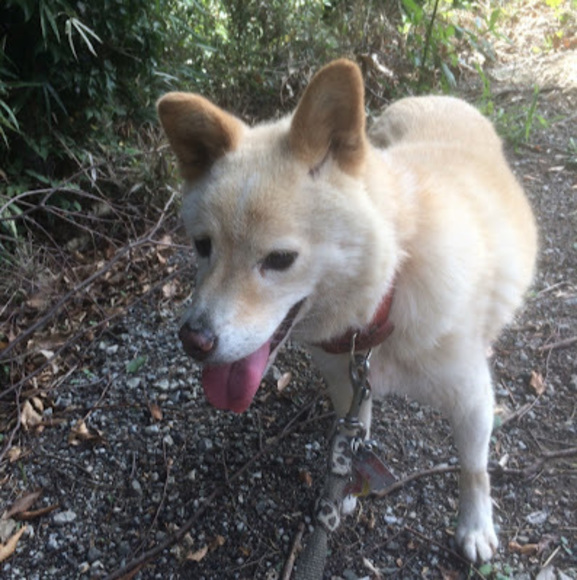 Meet your Posher, Yukiyo - Picture 1 of 1